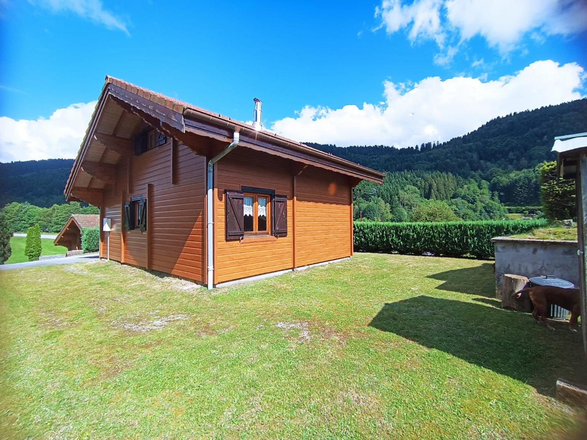 Le "Chalet De Minette" 2 Etoiles La Bresse Exteriör bild