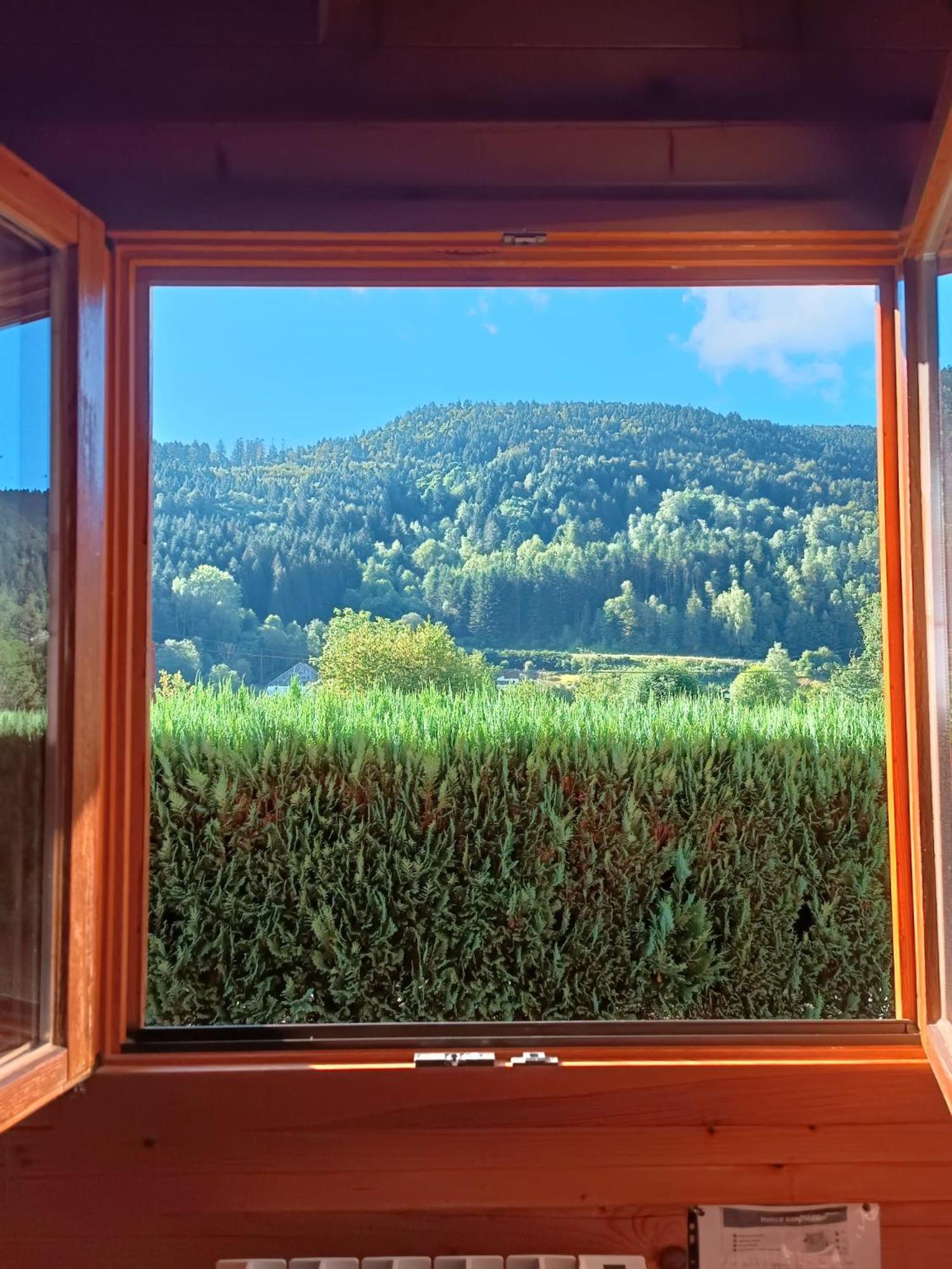 Le "Chalet De Minette" 2 Etoiles La Bresse Exteriör bild